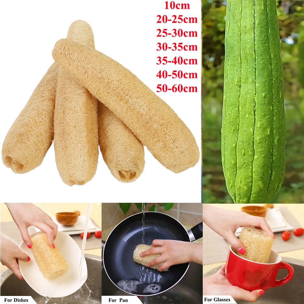 Natural Loofah Luffa Sponge Lo - Body Loofah Natural recensione e prezzo