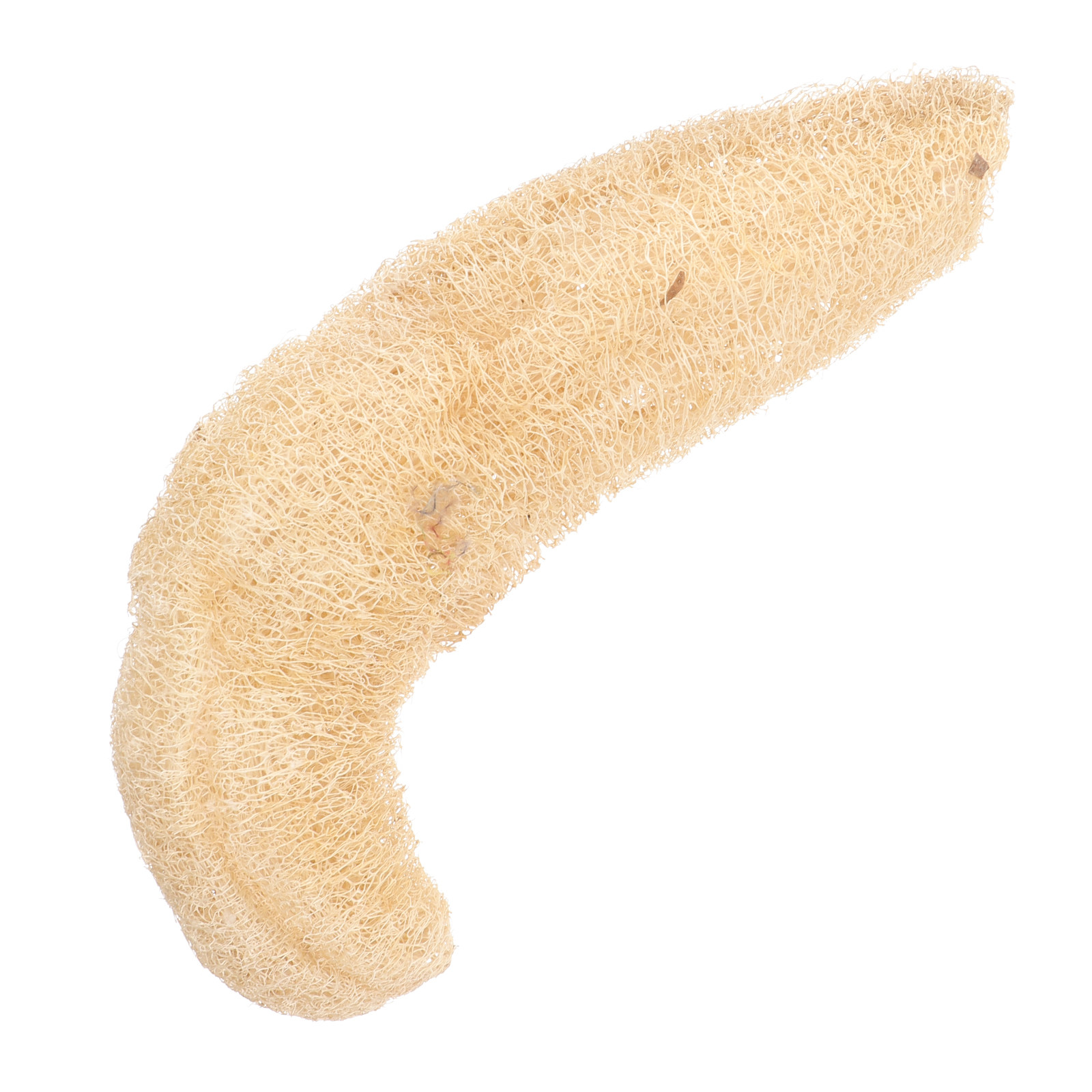 1Pcs Natural Loofah Shower Spo - Body Loofah Natural recensione e prezzo