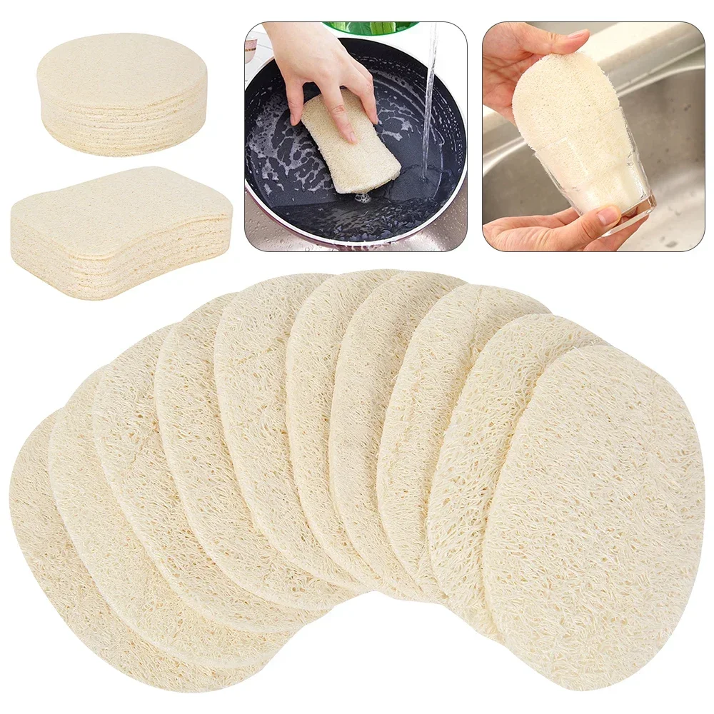 5 Pcs Natural Luffa Dish Washi - Body Loofah Natural recensione e prezzo