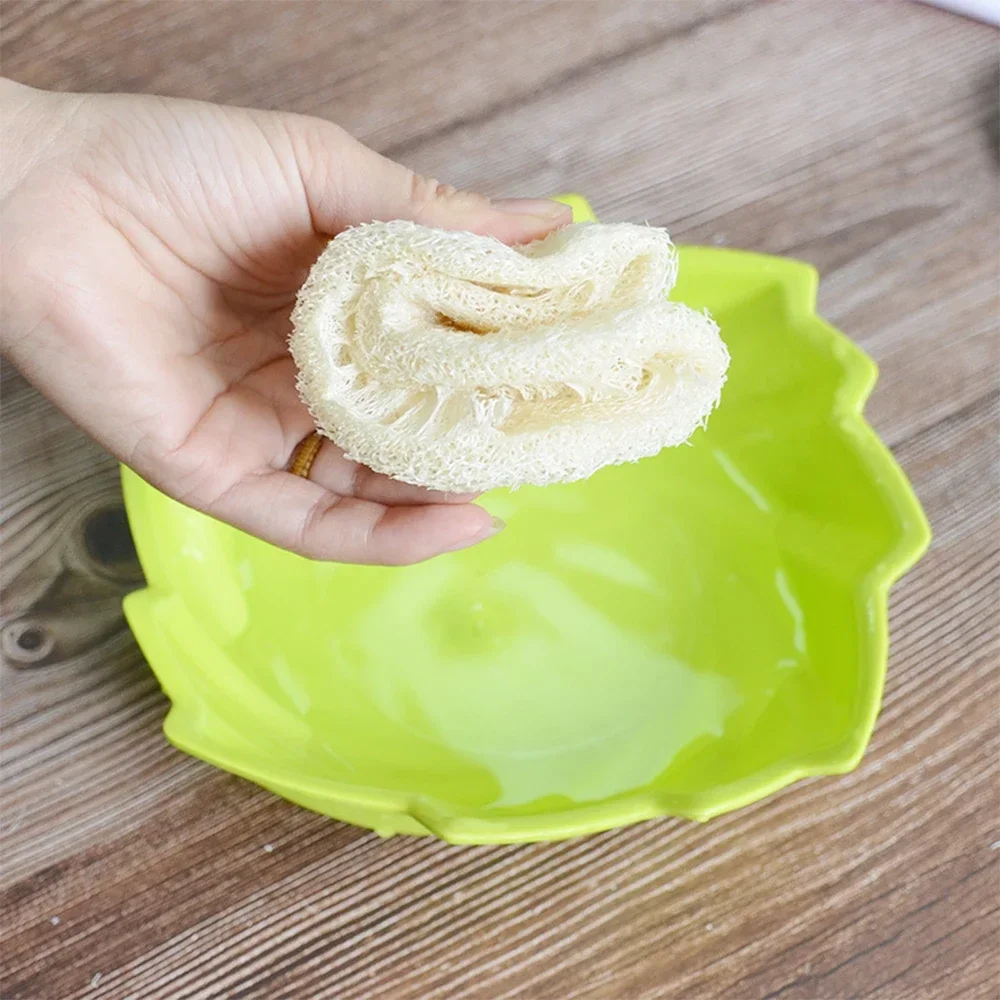 5 Pcs Natural Luffa Dish Washi - Body Loofah Natural recensione e prezzo