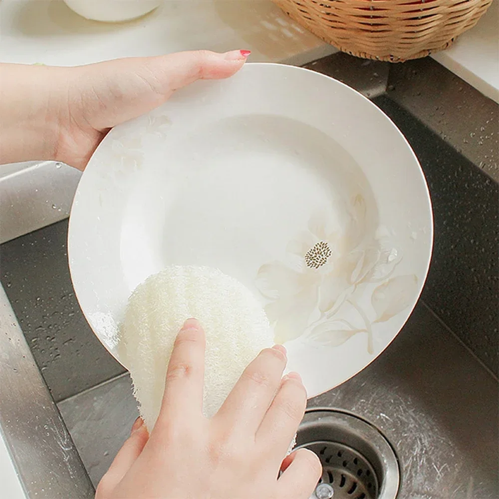 5 Pcs Natural Luffa Dish Washi - Body Loofah Natural recensione e prezzo